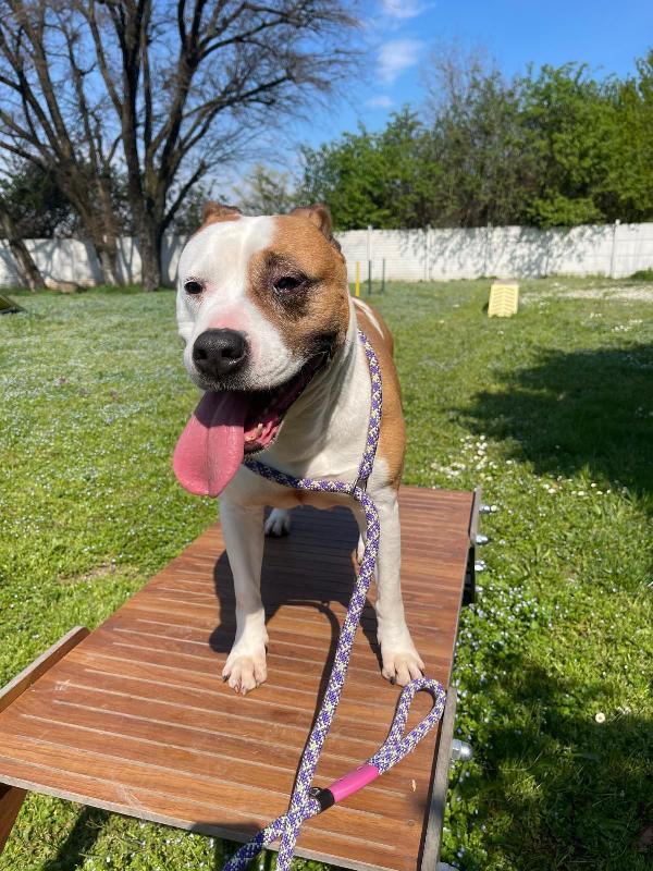MAYA AMSTAFF Foto 4
